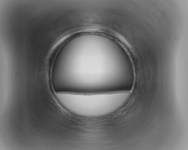 X0000114501456200910191127
