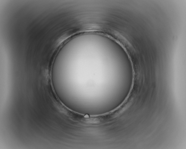X0000114501457200910191127