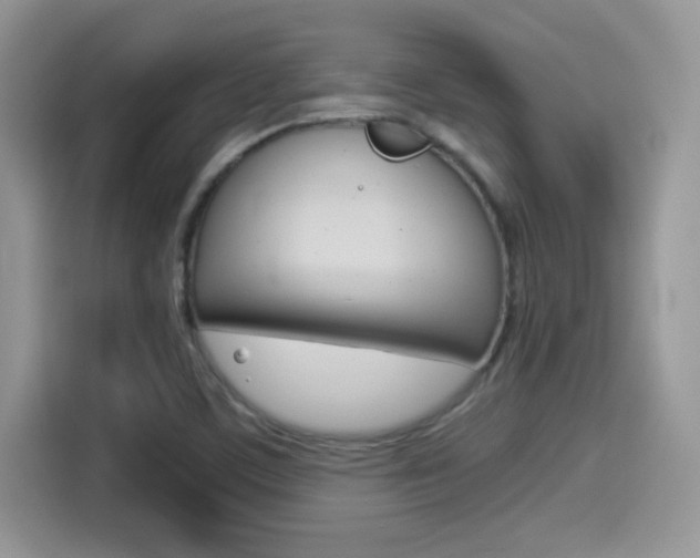 X0000114501459200910191127