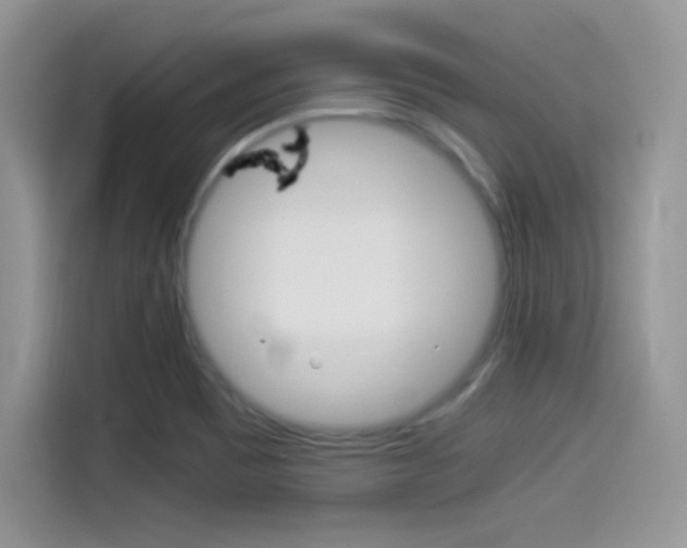 X0000114501465200910191127