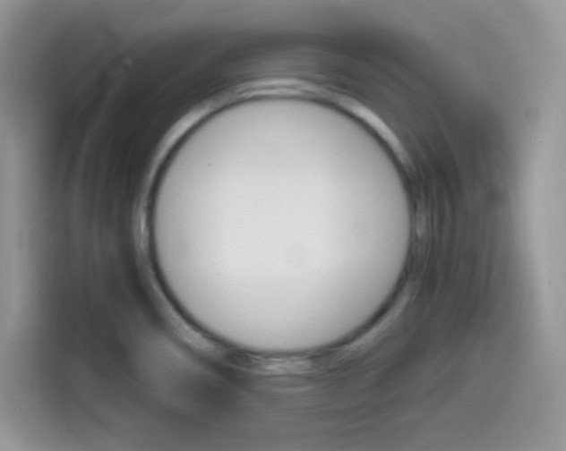 X0000114501466200910191127