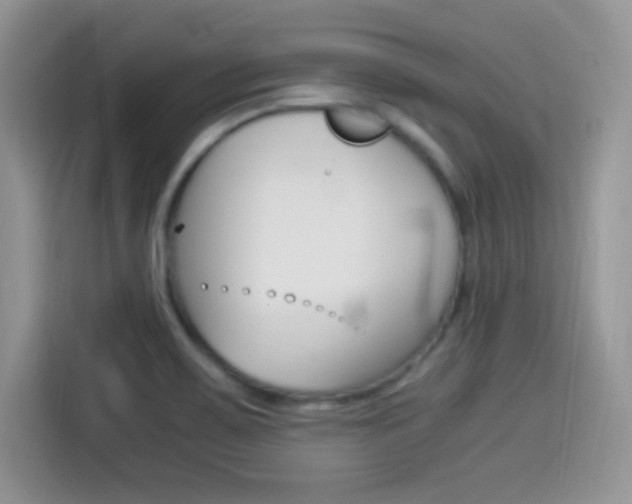 X0000114501467200910191127