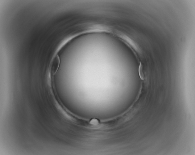 X0000114501468200910191127