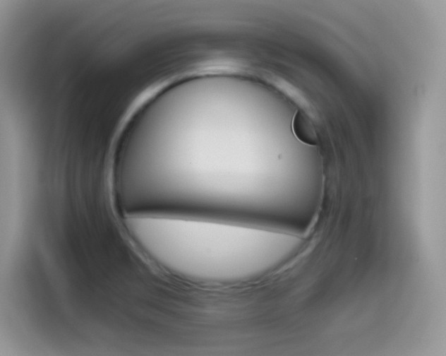 X0000114501469200910191127