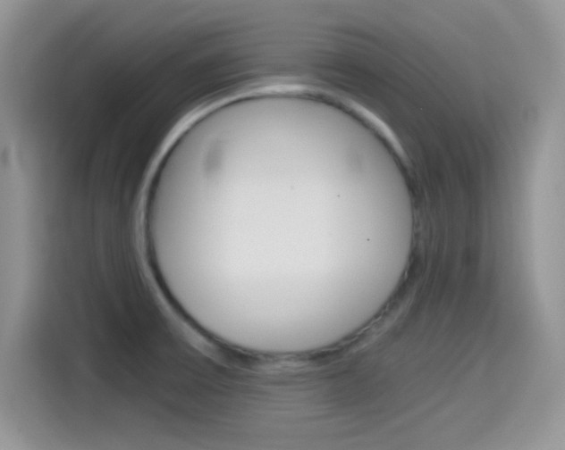X0000114501475200910191127