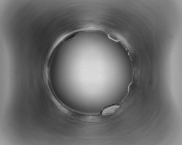 X0000114501476200910191127