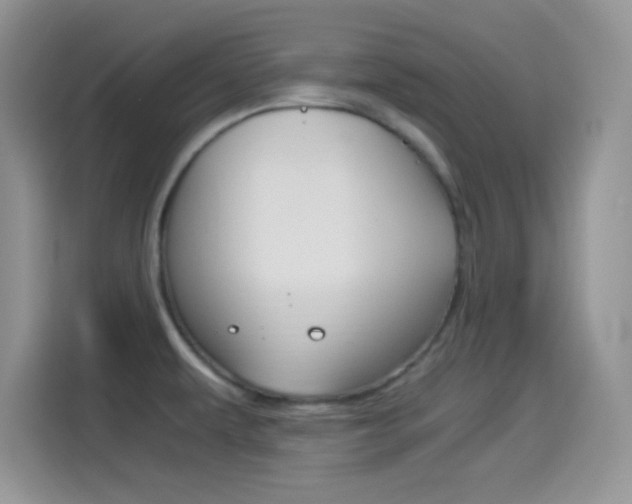 X0000114501479200910191126