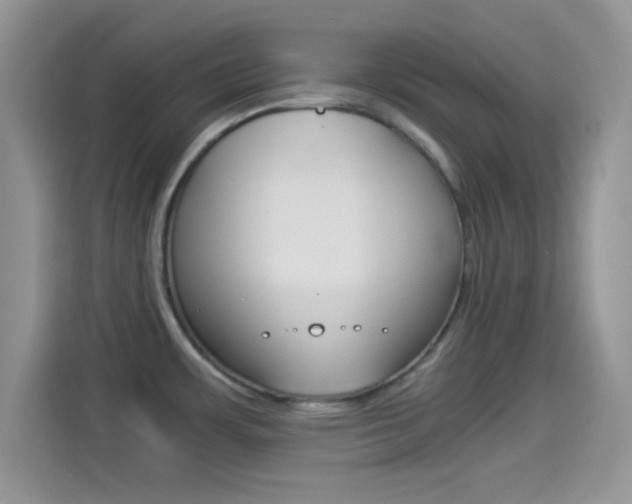 X0000114501483200910191126