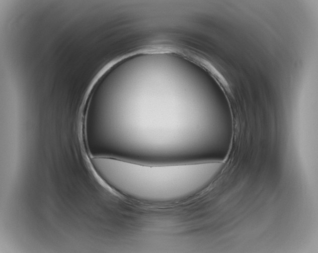 X0000114501484200910191126