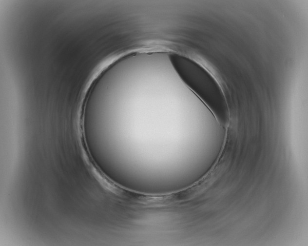 X0000114501485200910191126