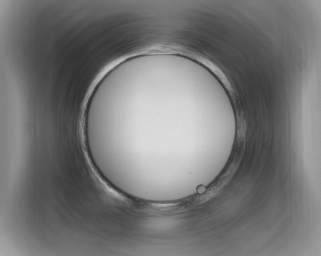 X0000114501486200910191126