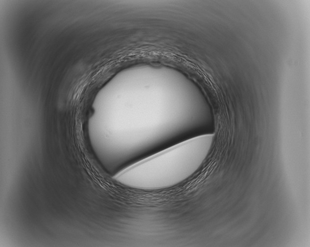 X0000114501489200910191126