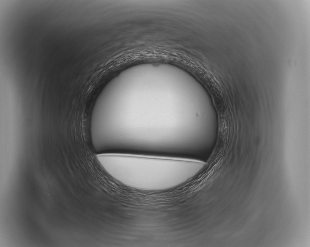 X0000114501490200910191126