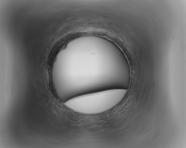 X0000114501493200910191126