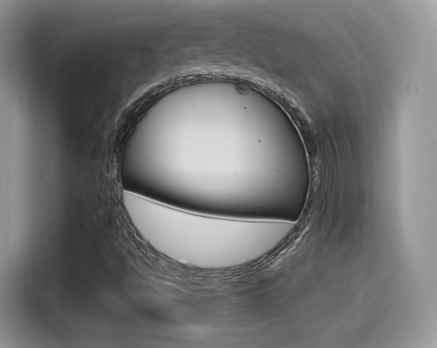 X0000114501494200910191126