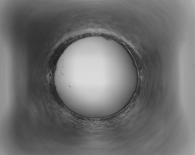 X0000114501495200910191126