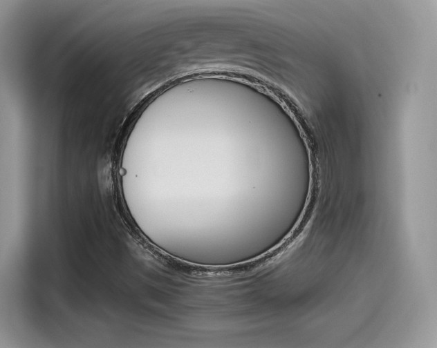 X0000114501497200910191126