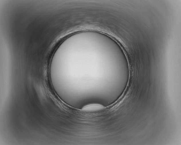X0000114501499200910191126