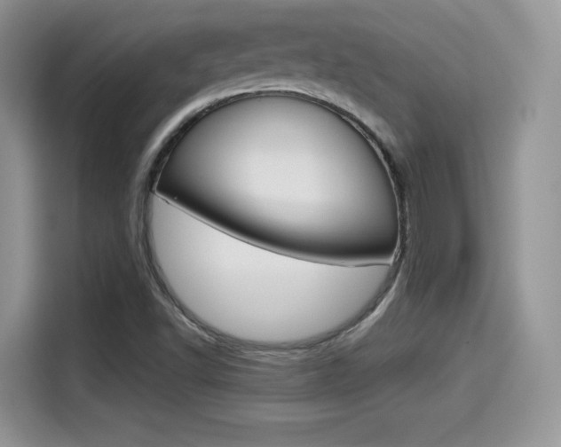 X0000114501502200910191126