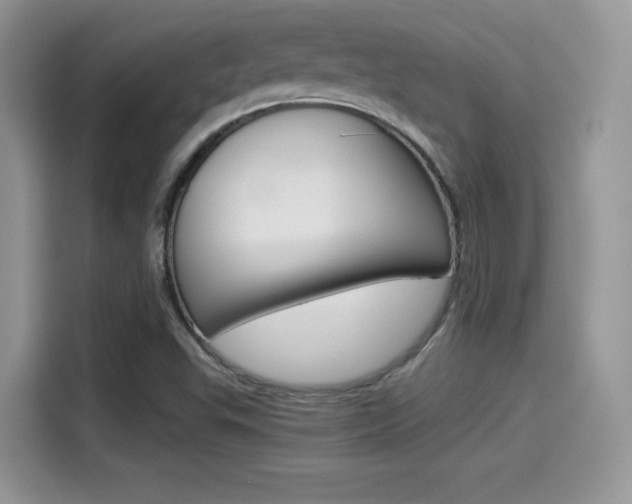 X0000114501503200910191126