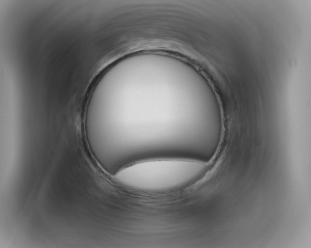 X0000114501505200910191126