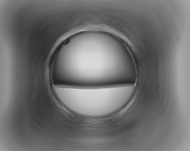 X0000114501506200910191126