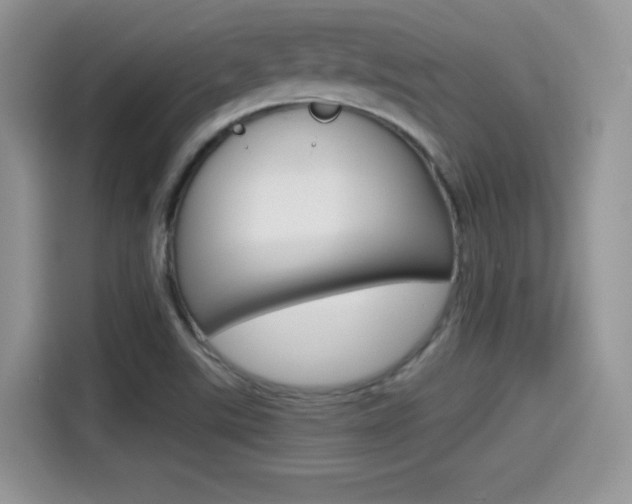 X0000114501507200910191126