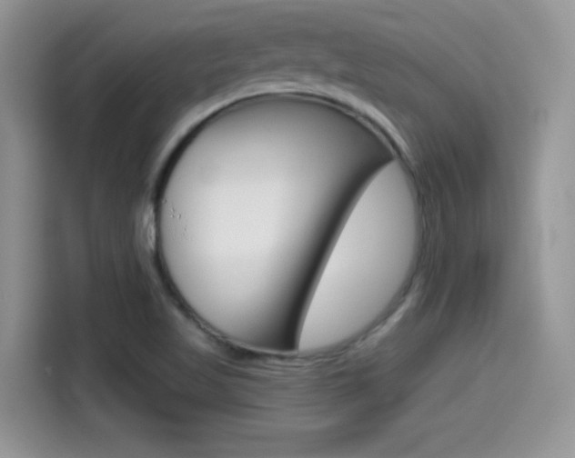 X0000114501509200910191126