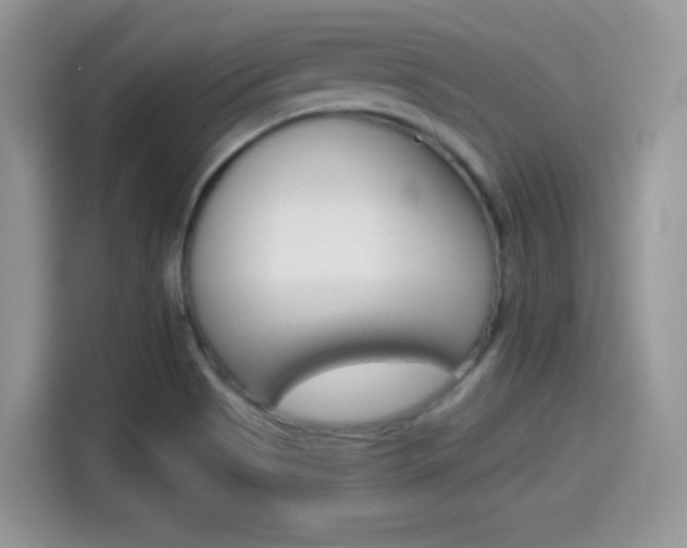 X0000114501513200910191126