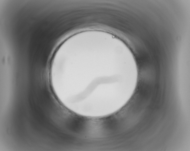X0000114501514200910191126