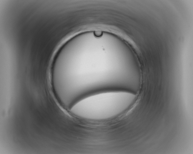 X0000114501517200910191126