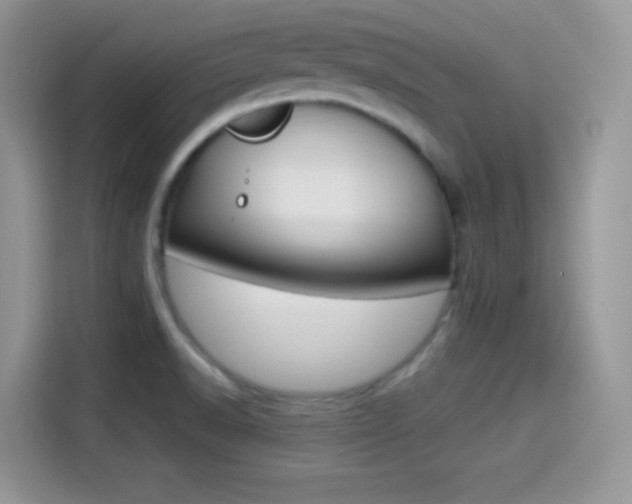 X0000114501518200910191126