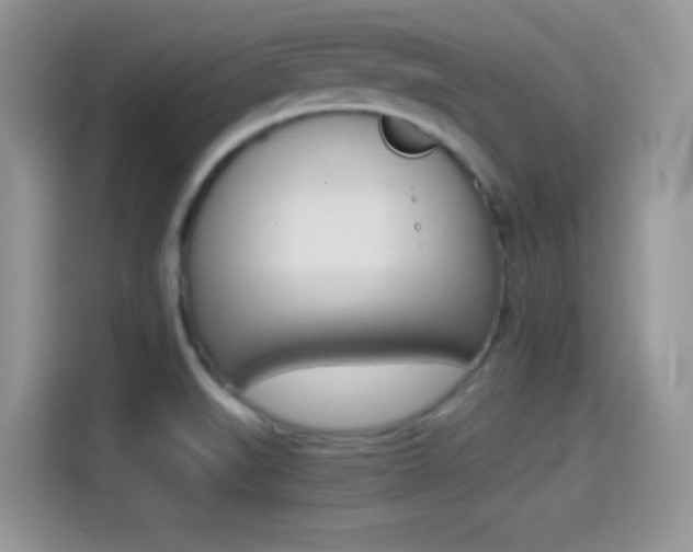 X0000114501519200910191126