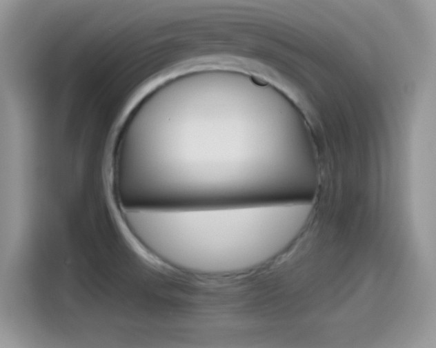 X0000114501523200910191126