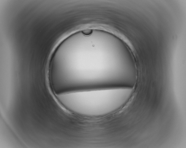 X0000114501525200910191126
