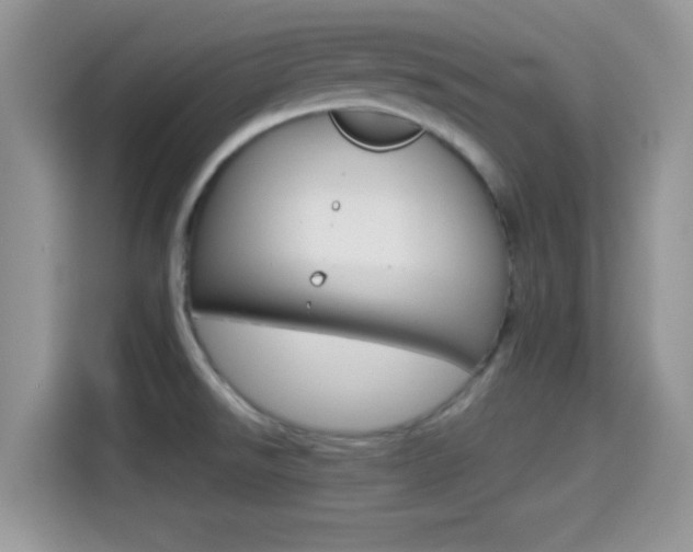 X0000114501526200910191126