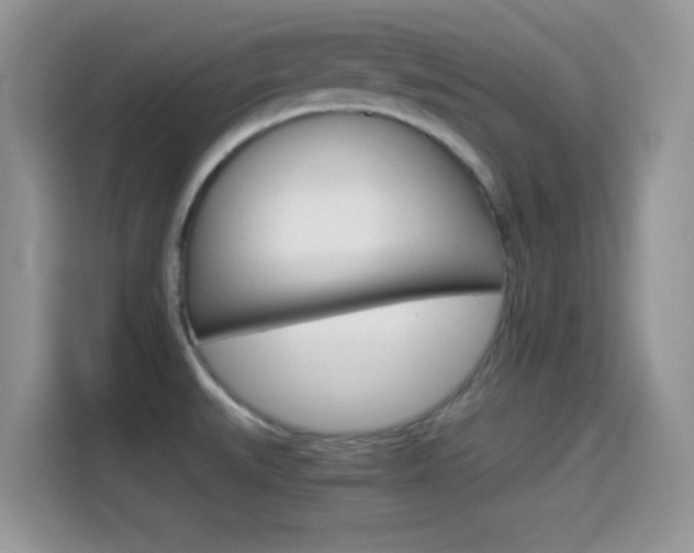 X0000114501527200910191126