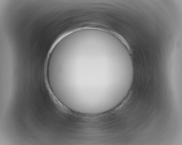 X0000114501530200910191126