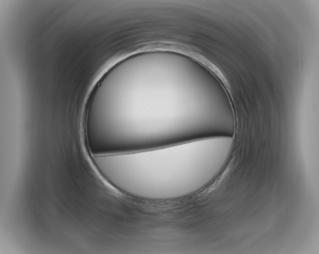 X0000114501533200910191126