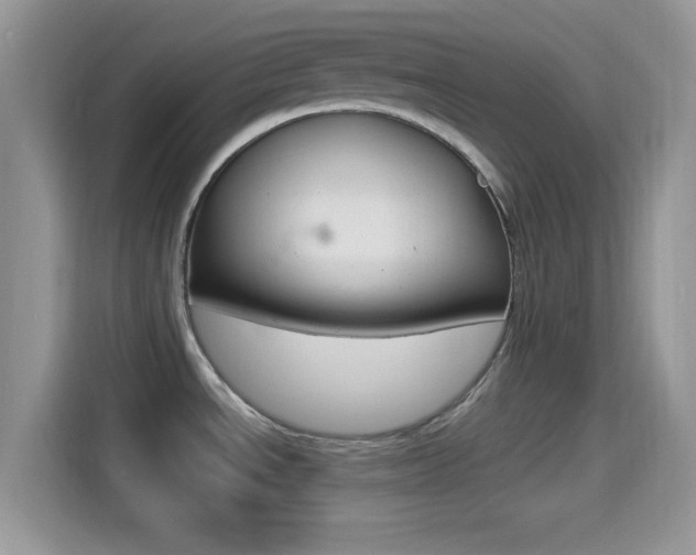 X0000114501534200910191126