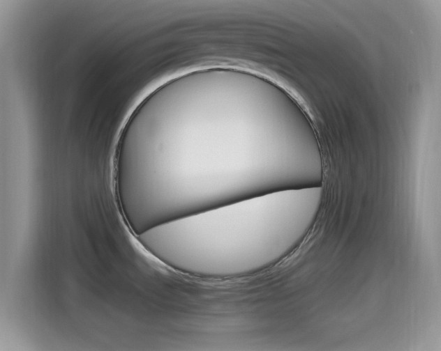 X0000114501535200910191126