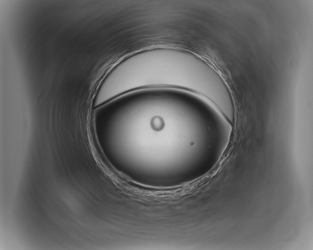 X0000114500001200910191300