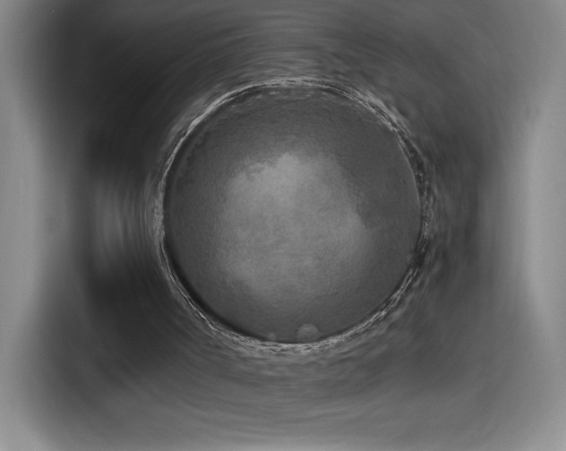 X0000114500002200910191300