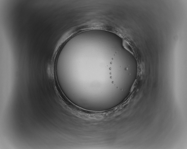 X0000114500004200910191300