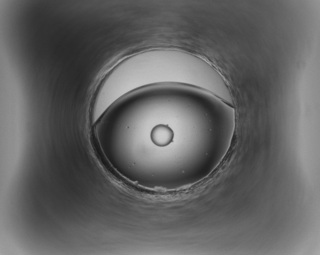 X0000114500005200910191300