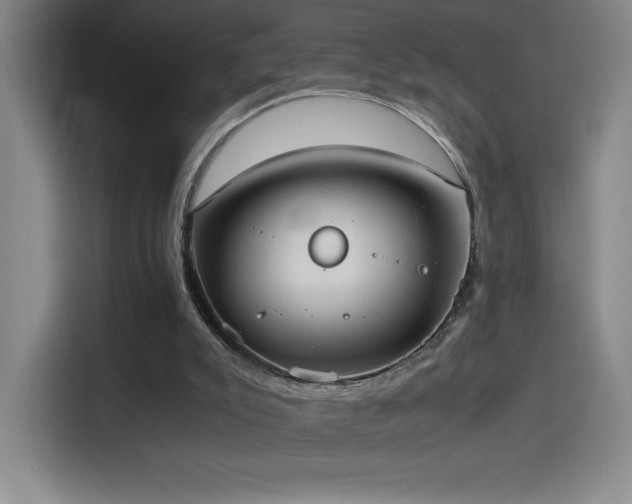 X0000114500007200910191300