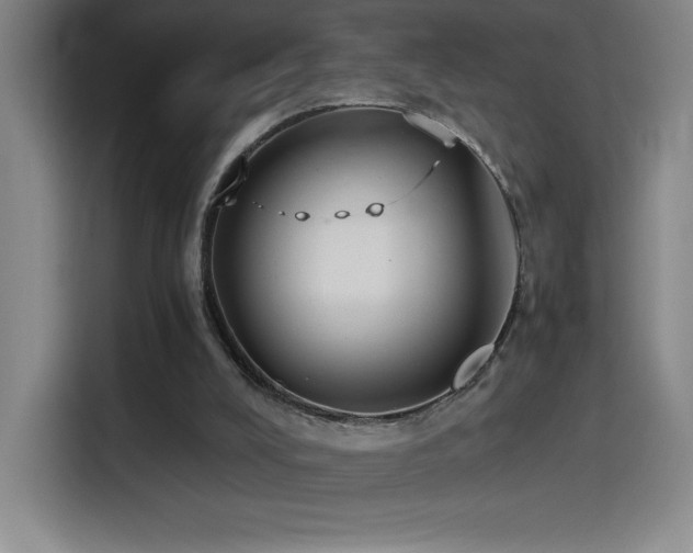 X0000114500008200910191300