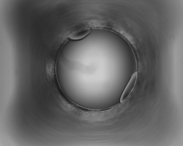 X0000114500009200910191300
