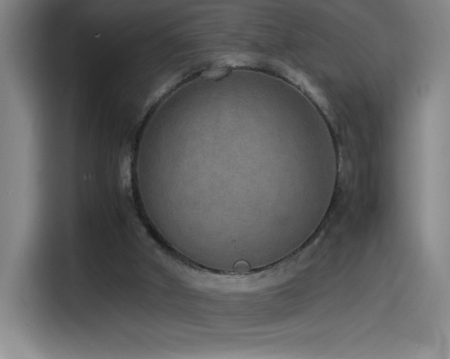 X0000114500010200910191300