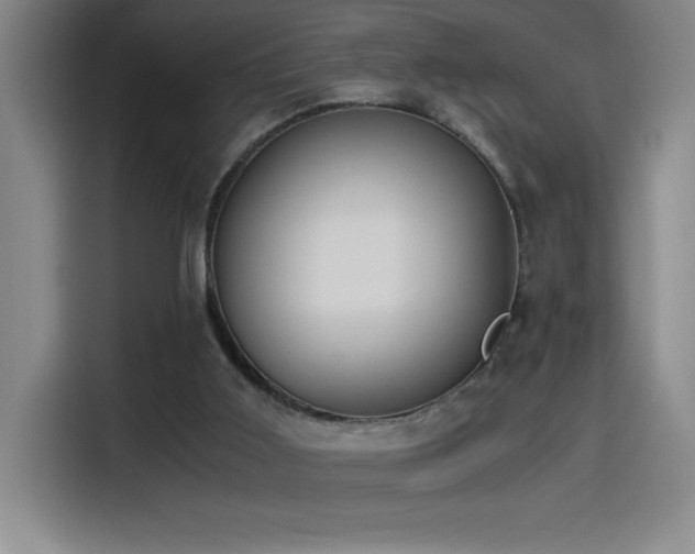 X0000114500011200910191300